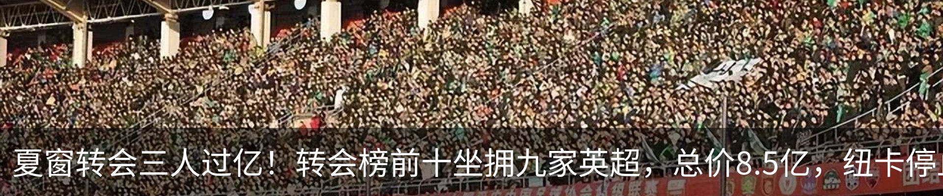 最新动态