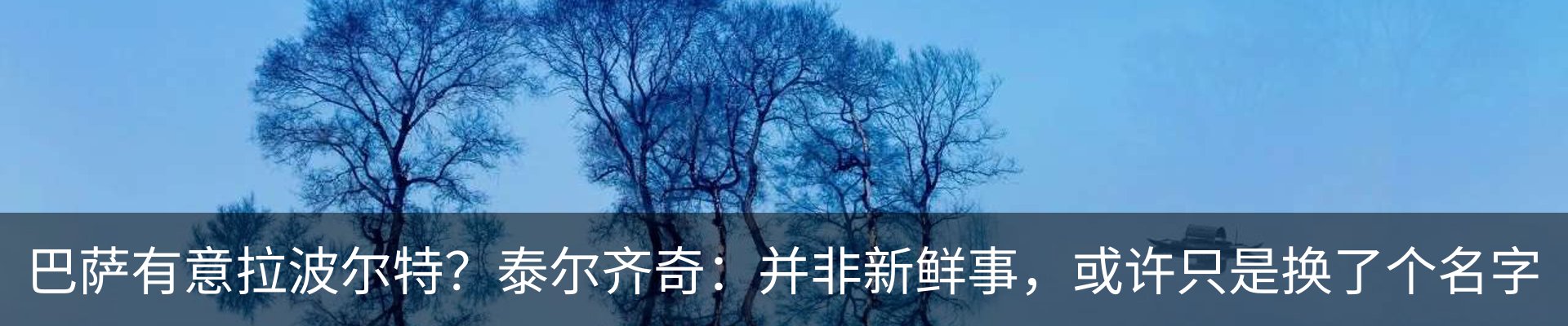 最新动态