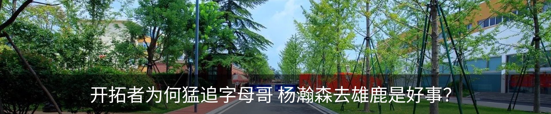 最新动态