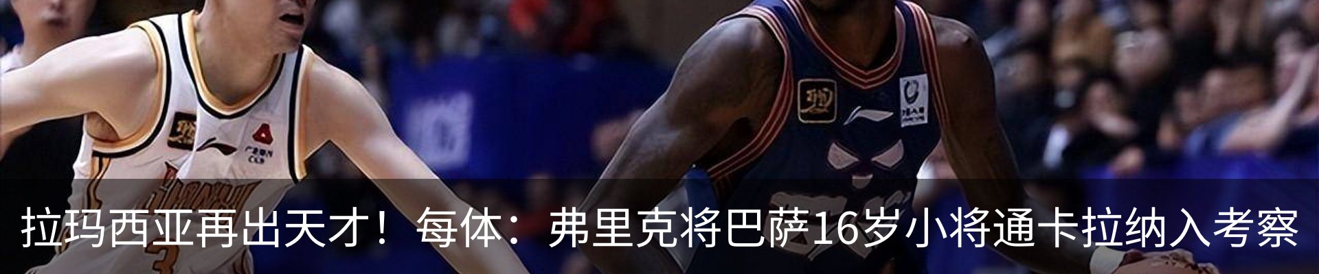 最新动态