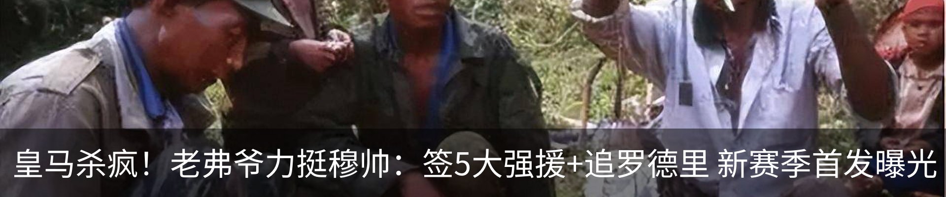 最新动态