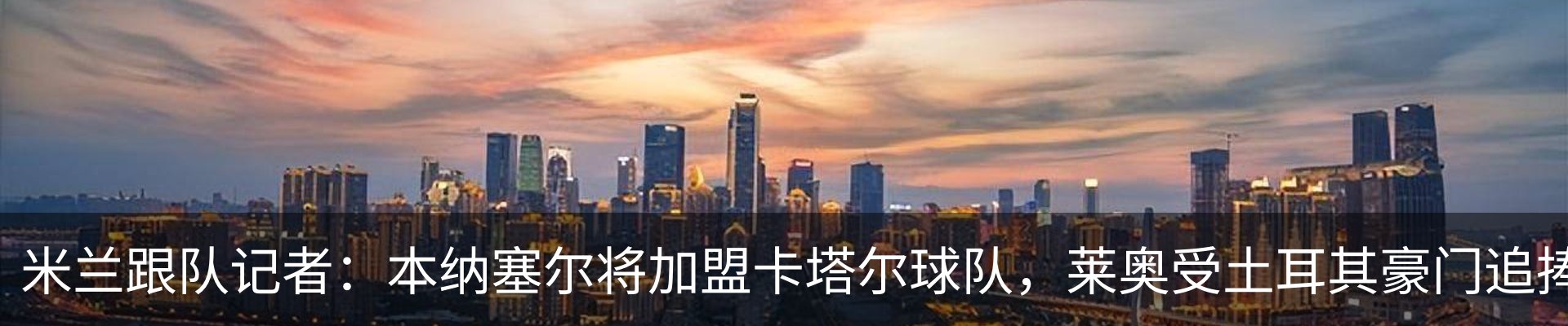 最新动态