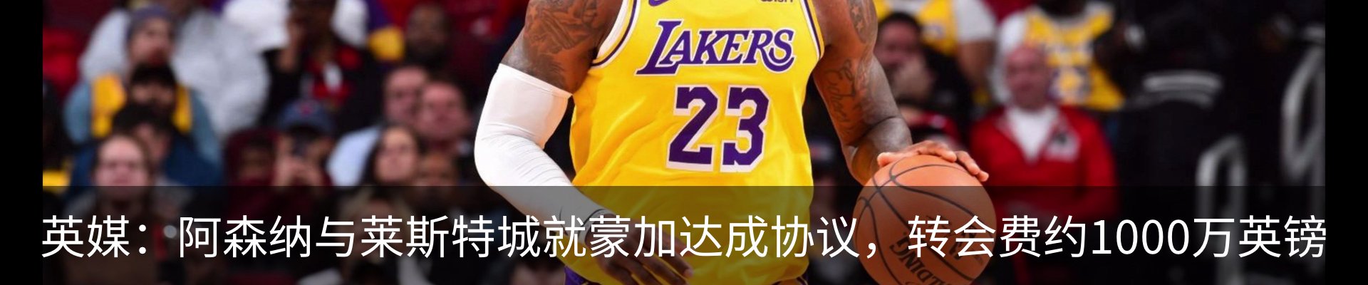 最新动态