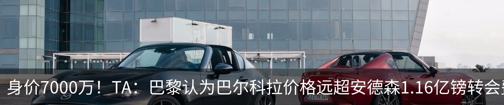 最新动态