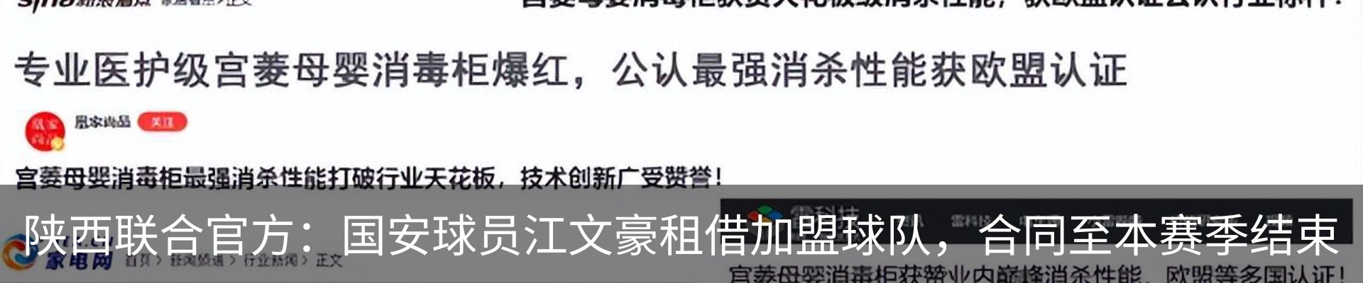 最新动态