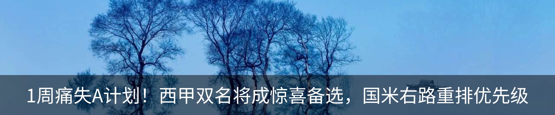 最新动态